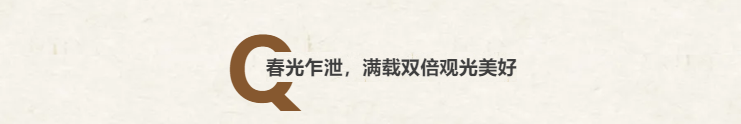 QQ图片20250424172254.png